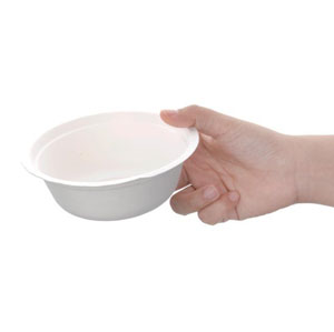 Bagasse Bowls 9oz - 4.5